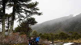 Postula a fondos de reactivación turística