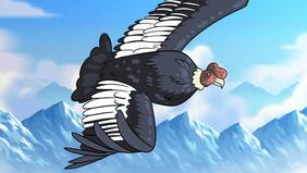 El sueño del Cóndor: la dura senda para reinsertar al emblema patrio en los cielos