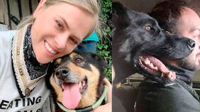 “Son angelitos con cola que no tienen la culpa de nada”: Eli Albasetti rescata perros heridos durante las protestas