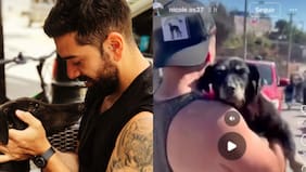 Denunciaron a influencer por robar perrito tras incendio: hombre se defendió y argumentó que animalito estaba abandonado