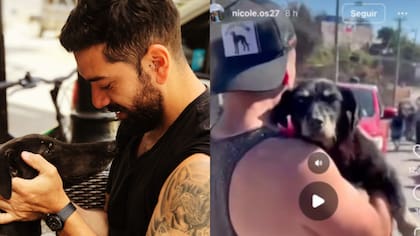 Denunciaron a influencer por robar perrito tras incendio: hombre se defendió y argumentó que animalito estaba abandonado