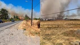 Senapred declara alerta roja en Chillán y Coihueco por incendios forestales