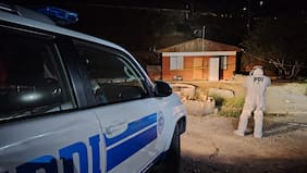 Dramático crimen antes de Navidad: mató a su pareja y luego se quitó la vida en la casa que compartían