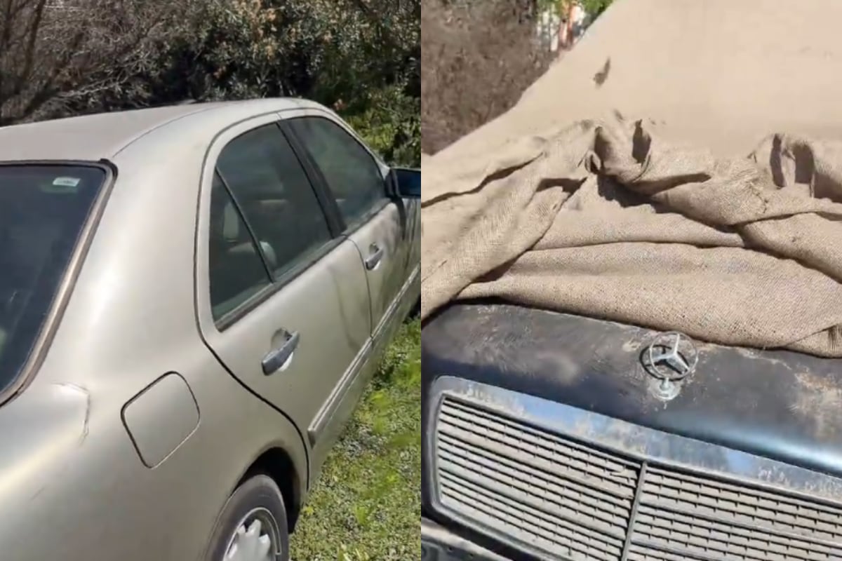 “Mercedes es una joyita”: Joven remata autos de su papá y se hace viral