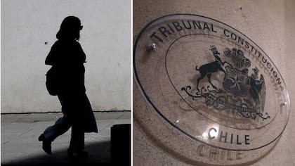 Abogada descolocó a todo el TC por insólitas citas en un recurso: la sancionaron y quedó suspendida de su profesión