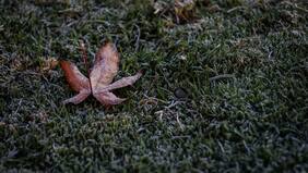 Santiaguinos despertaron con la mañana más fría del 2024: esta fue la extrema temperatura matinal