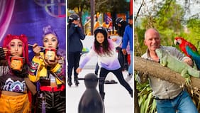 Quilicura tendrá pista de hielo, animales exóticos y teatro gratuito en vacaciones de invierno