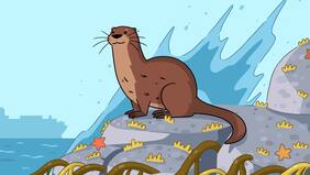 Le salvó la vida a un chungungo recién nacido, lo reinsertó y todo cambió: “Fue una experiencia tremenda”