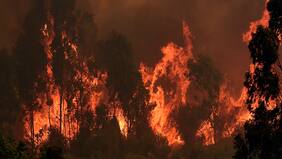 Onemi: ya se han quemado cerca de 3.000 hectáreas en Quilpué