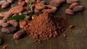 Cuál es el alimento que los mayas consideraban un “tesoro”