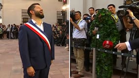 Periodista se disfrazó de planta en La Moneda y sacó carcajada de Boric