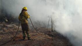 Bomberos acusan a sujeto que habría disparado mientras combatían incendio: detenido explicó uso de arma