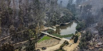 Jardín Botánico Incendios Forestales: 4 de Febrero