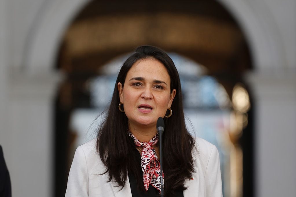 Carol Bown fue Subsecretaria de la Niñez en el segundo gobierno de Piñera. (Foto: Agencia Uno)