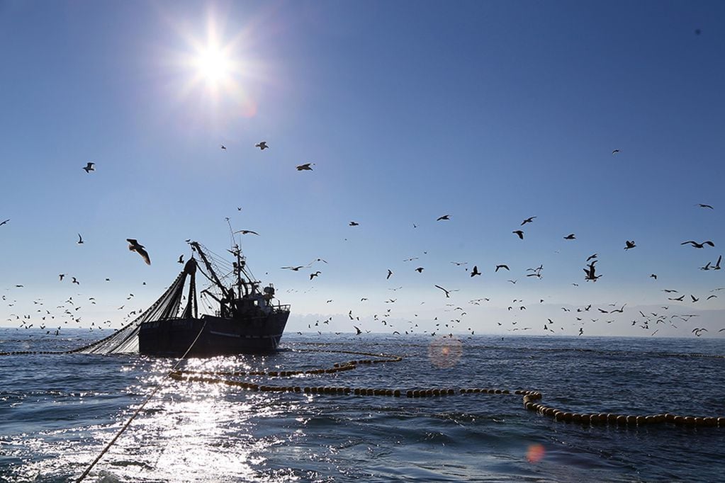 PacificBlu critica ley de pesca y afirma que tendría graves consecuencias para el sector