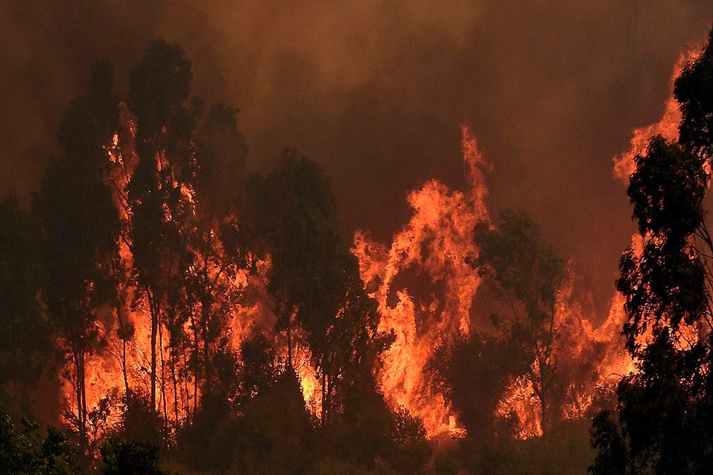 15 DE ENERO DE 2021 / QUILPUE
Helicóptero Chinooken combate el incendio en  el sector de Los Pinos y Colinas de Oro  debido al incendio forestal que afecta a la zona.
FOTO: PABLO OVALLE ISASMENDI / AGENCIAUNO
