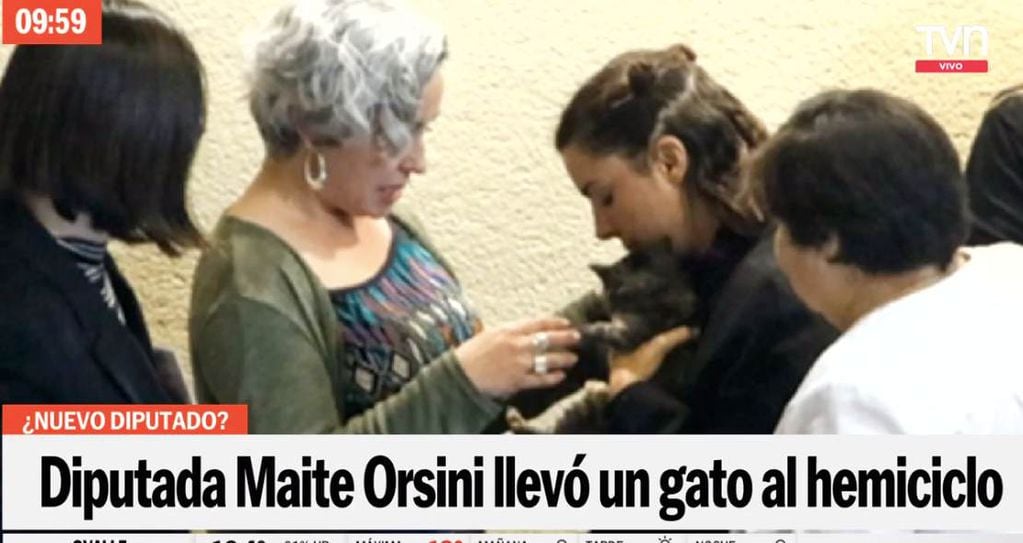 Maite Orsini llegó con un gatito hasta el Congreso Nacional este miércoles.