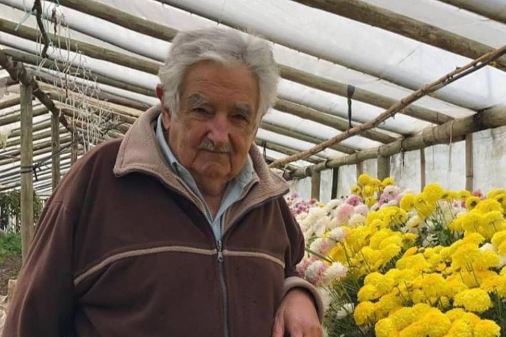 Pepe Mujica dijo estar complicado, pero seguirá con su verduras y gallinas, hasta que le den las fuerzas.