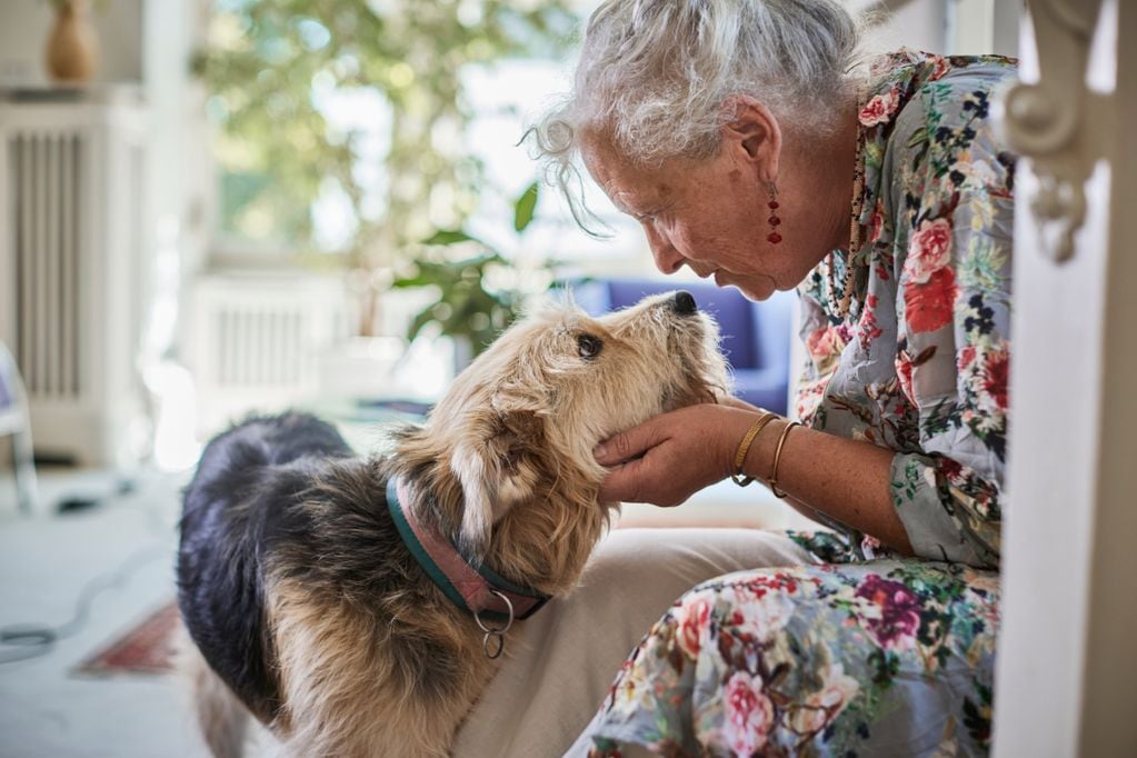 Beneficio de tener mascotas para los adultos mayores. Foto: Getty Images.