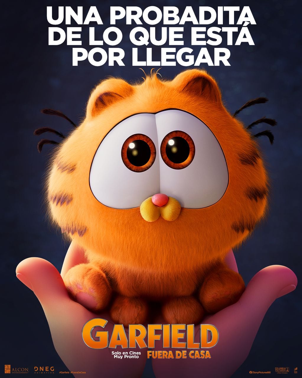 Póster Garfield: Fuera de Casa. Foto Andes Films.